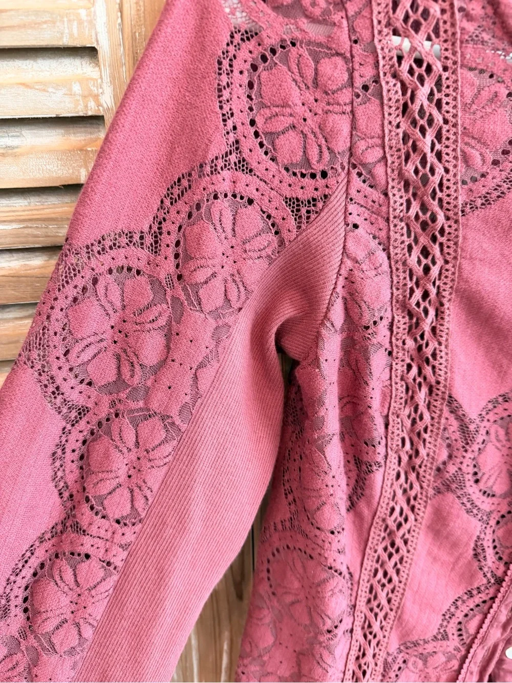 Free People Jae Sheer Crushed Berry Lace Knit Long Sleeve Top (Size Small)
